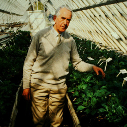 Dahlia People (Home and Overseas)